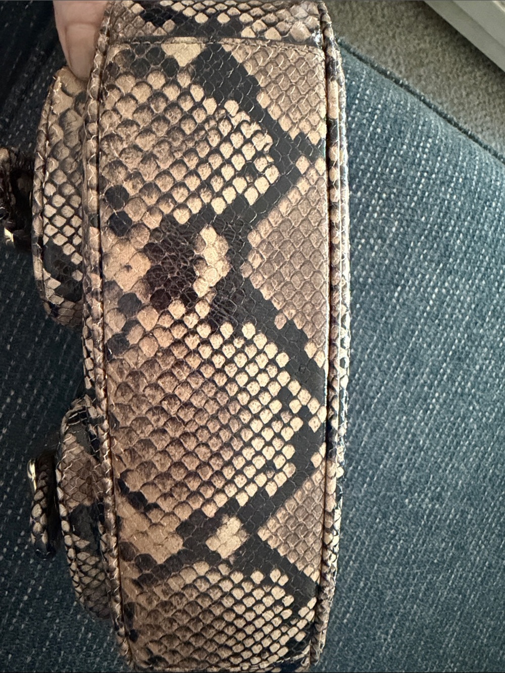 Coach Snake-Print Brown Mini Shoulder Bag with Gold Hardware - Picture 4 of 6